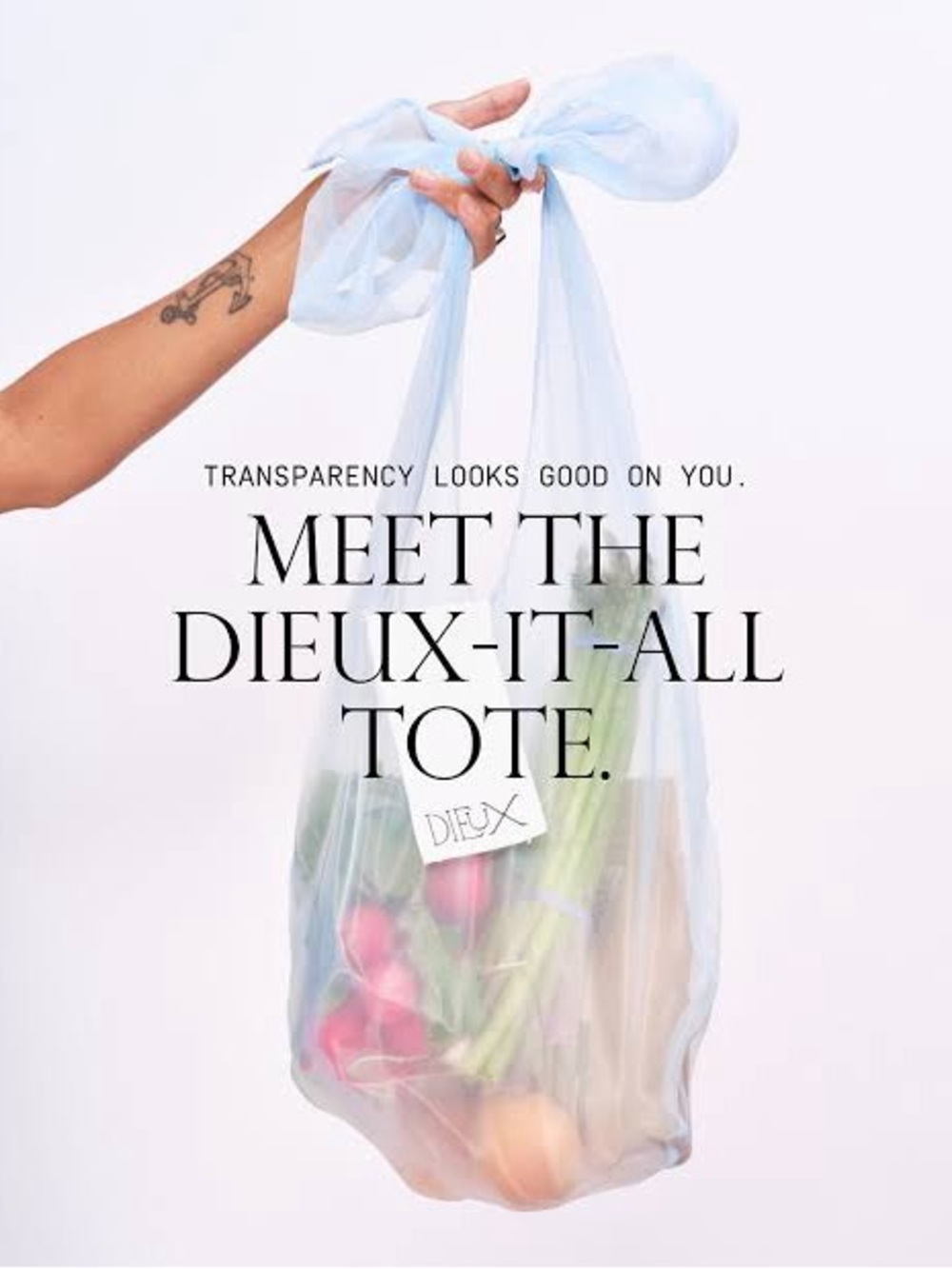 Dieux Light Blue Transparent -It-All Tote